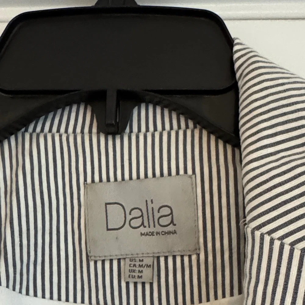 Dalia Pinstripe Blazer in Blue and White - Picture 2 of 5